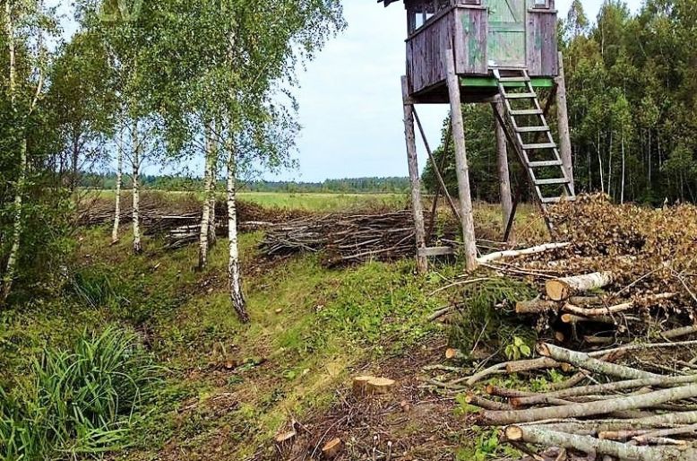 Lauksaimniecības platību attīrīšana no kokaugiem